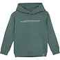 Daily7 Trui hoodie backprint (blue spruce)