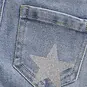 Daily7 Spijkerbroek stars flared (medium denim)