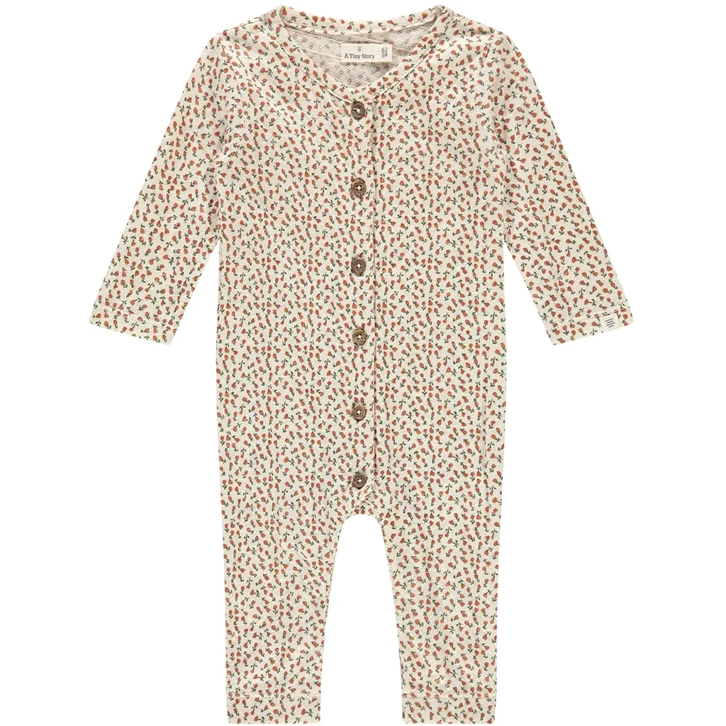 Boxpakje roosjes (snow)