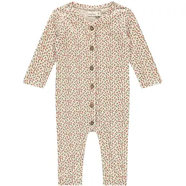 Boxpakje roosjes (snow)