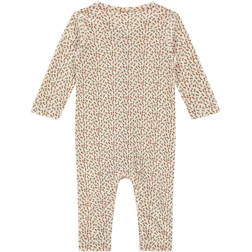 Boxpakje roosjes (snow)