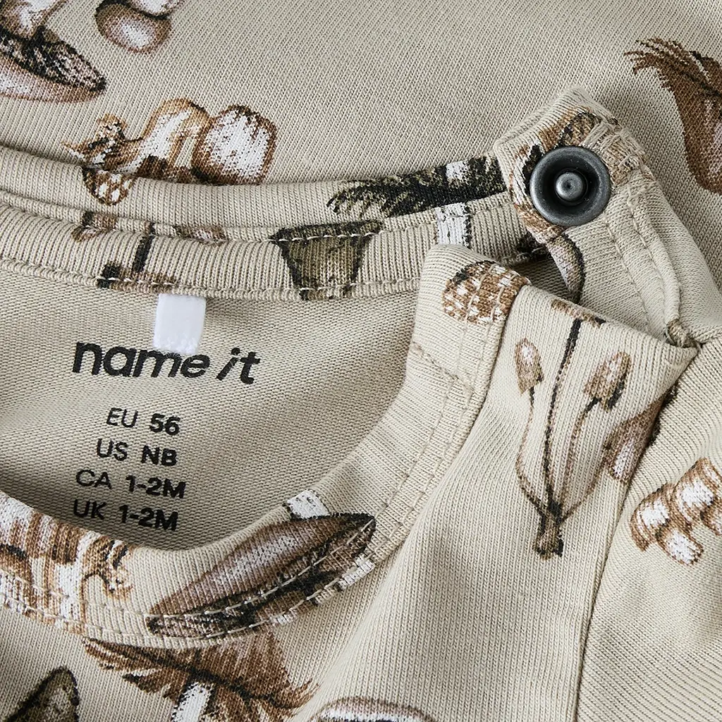 Rompertje Feyan (island fossil)