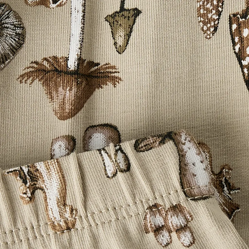 Broekje Feyan (island fossil)