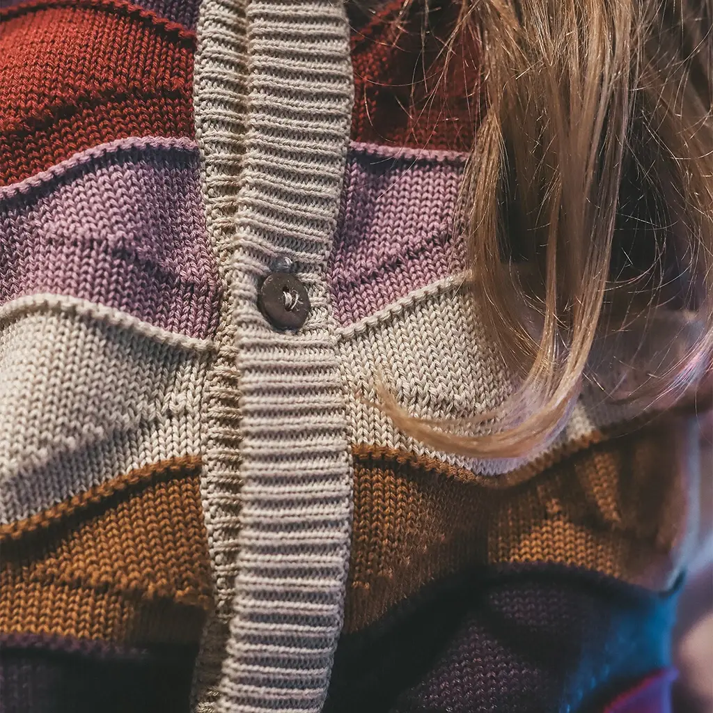 Vestje (multicolor)