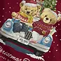 Name It KERST longsleeve Vosmas (jester red xmas)