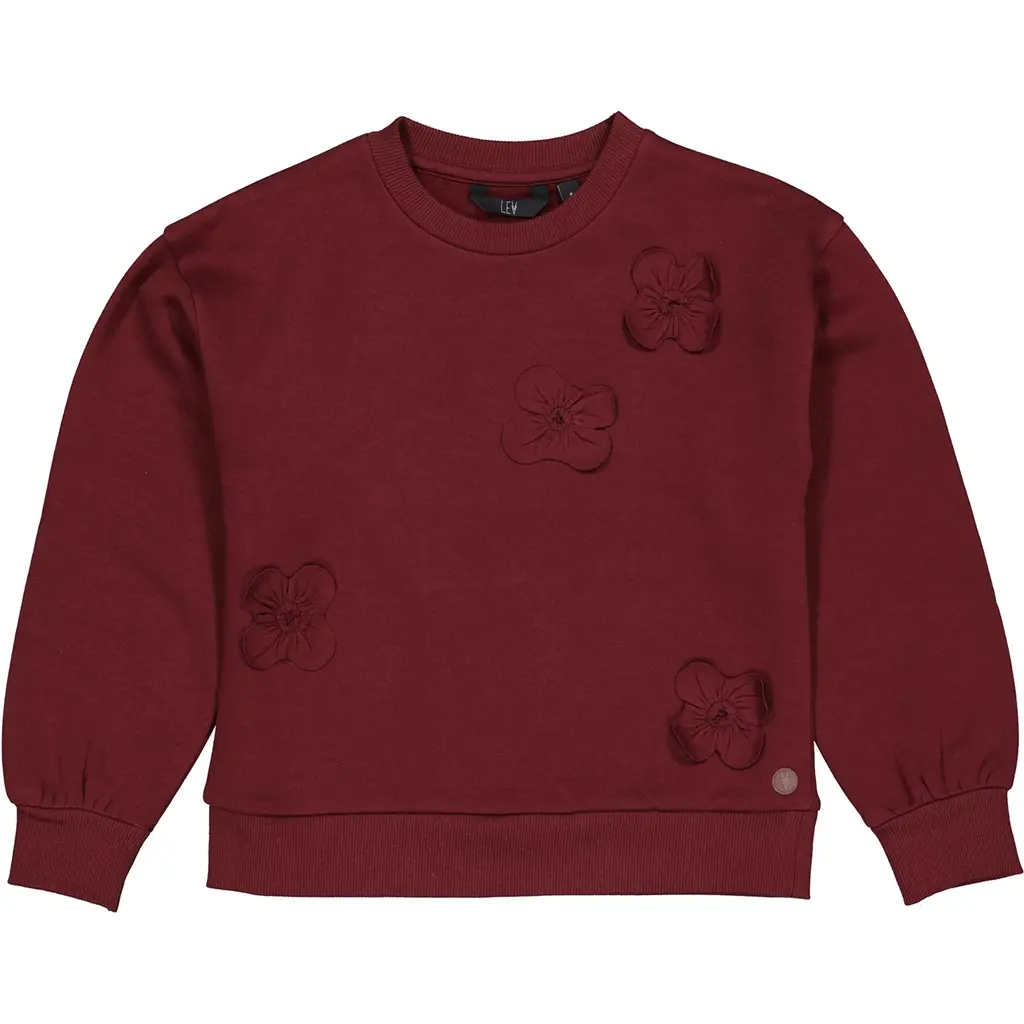 Trui Vanity (dark red)