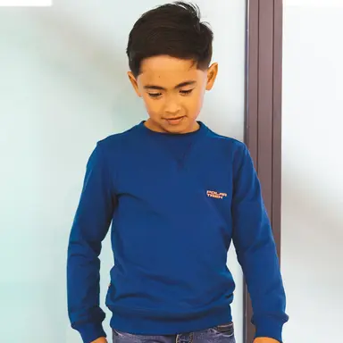 Trui Silver (estate blue)