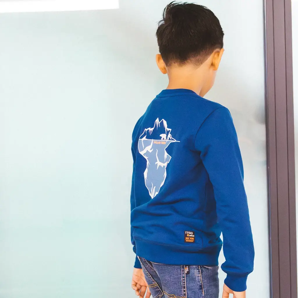 Trui Silver (estate blue)