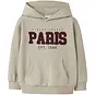 Name It Trui hoodie Rivan (island fossil)