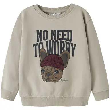 Trui sweat Riguna (island fossil)