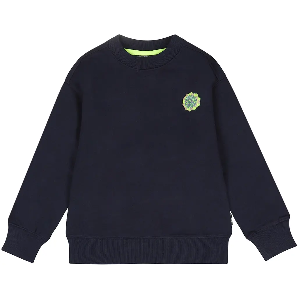 Trui Heelflip backprint (navy blazer)