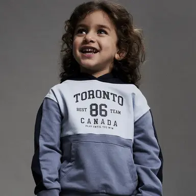 Trui sweat hoodie Sejr (flint stone)