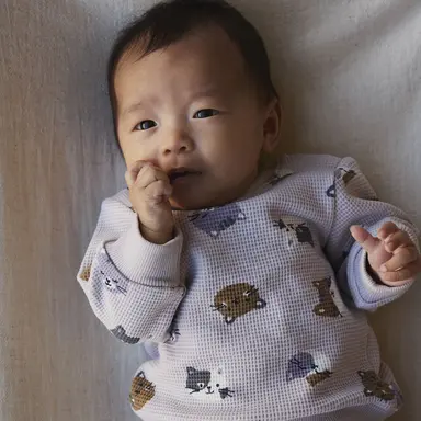 Truitje wafel Tammie (lilac marble)