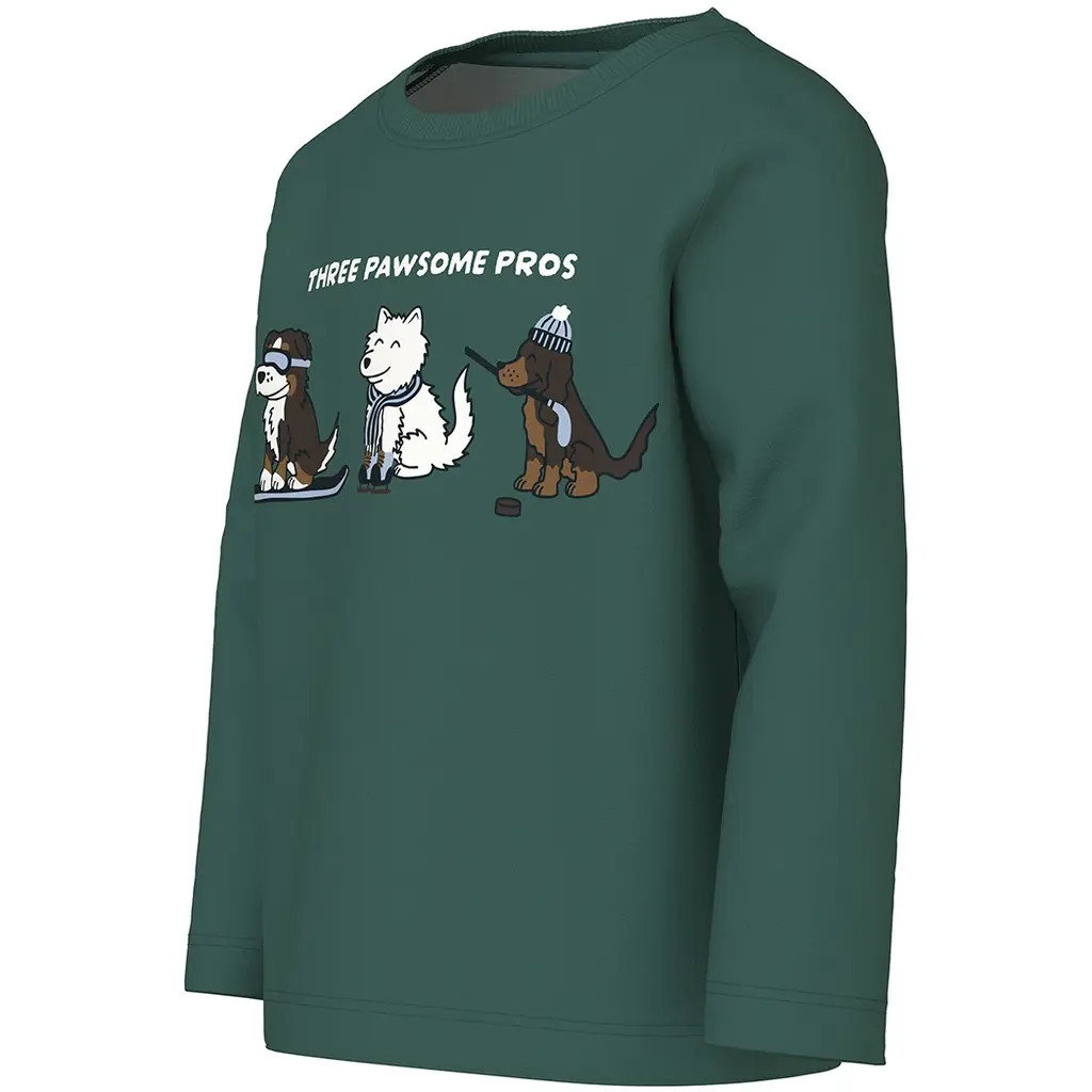 Longsleeve Vux (bistro green ice dogs)