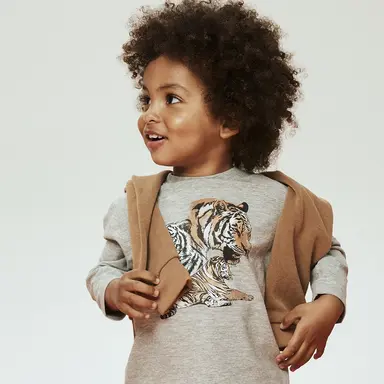 Longsleeve Thornton (grey melange)