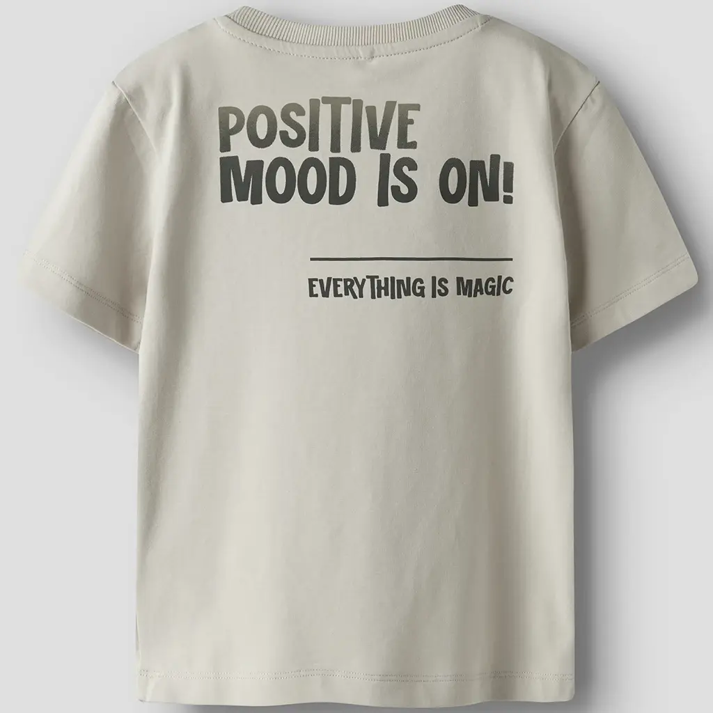 T-shirt Brad (purmice stone)