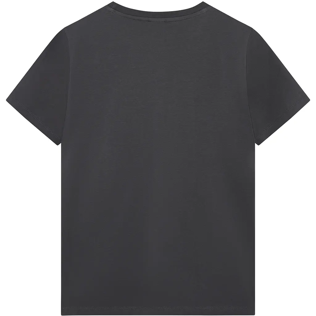 T-shirt (washed grey)