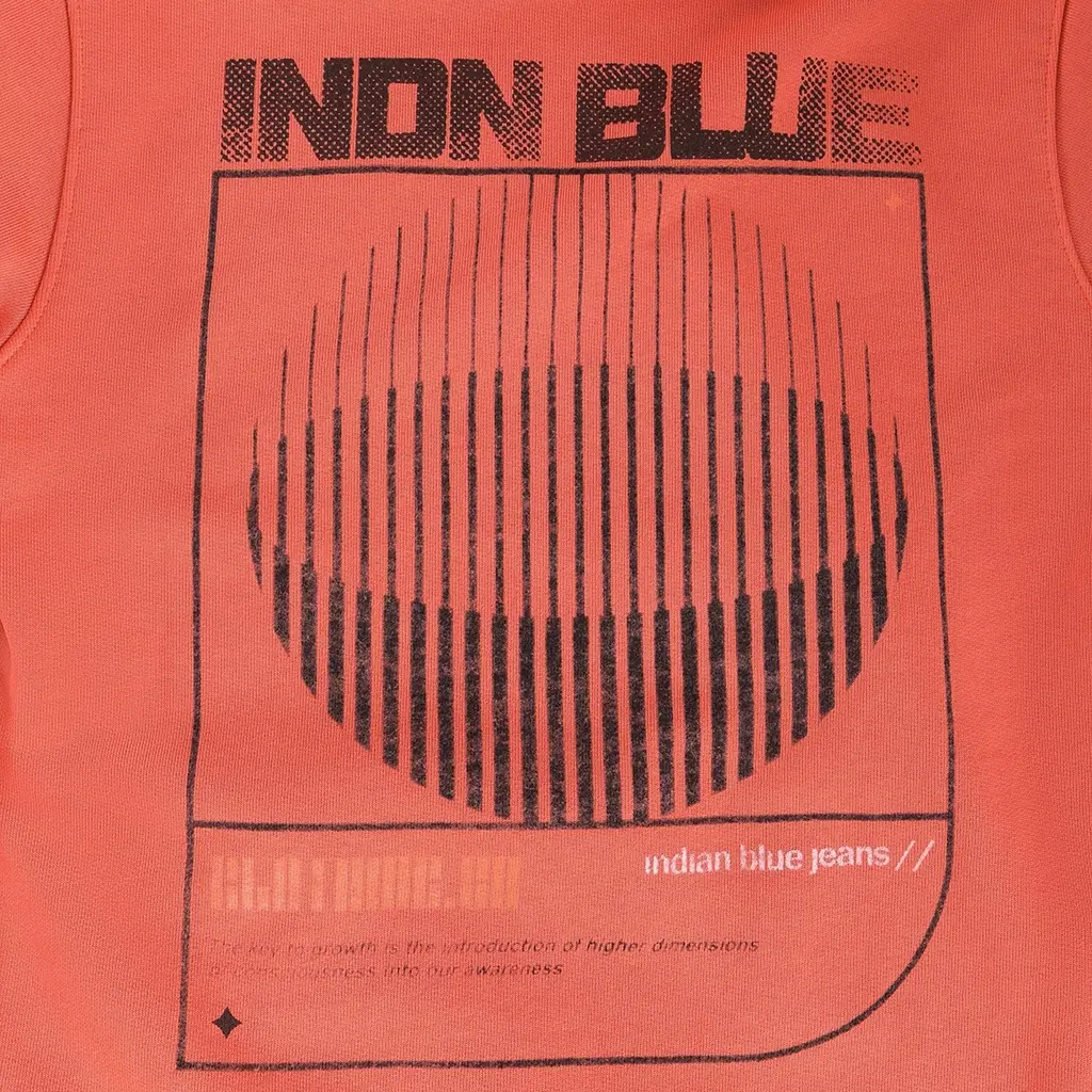 Trui hoodie backprint washed (lantana)