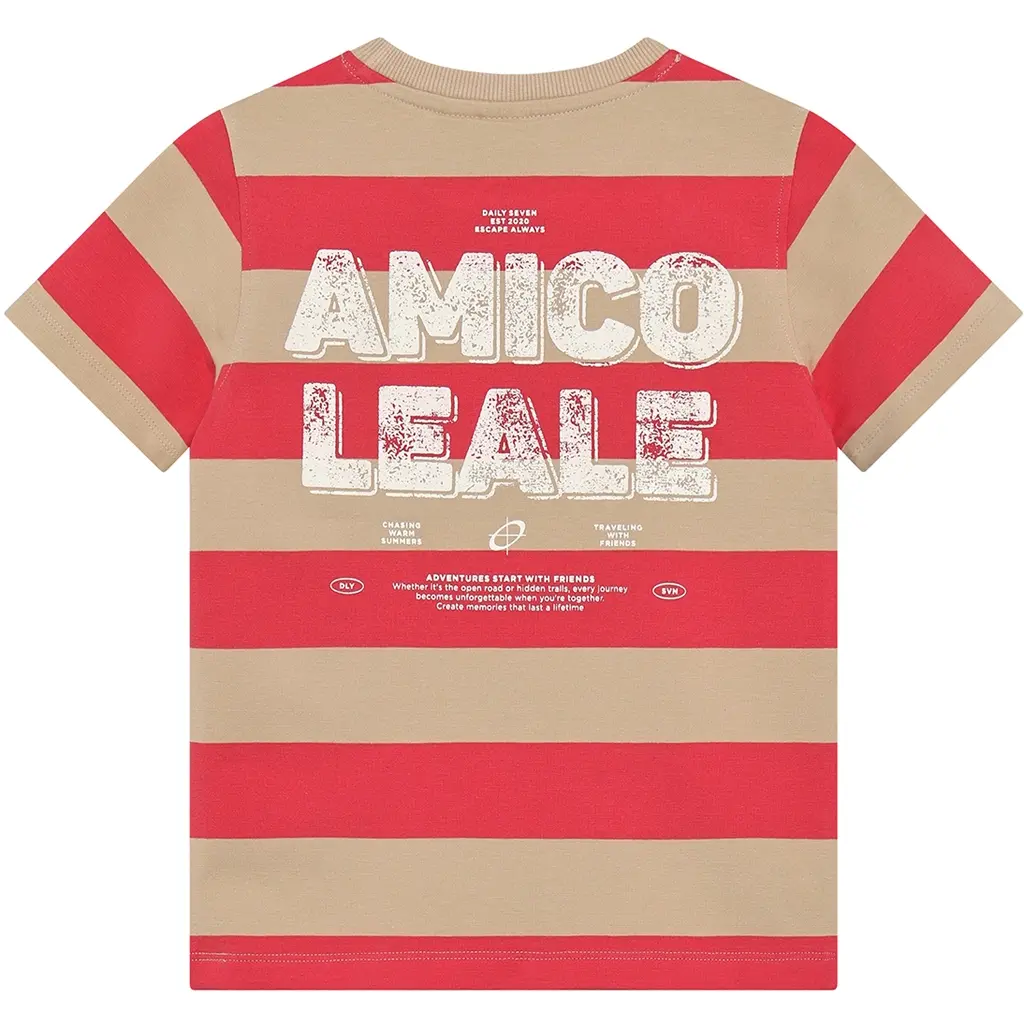 T-shirt stripe Backprint (chrysanthemum)