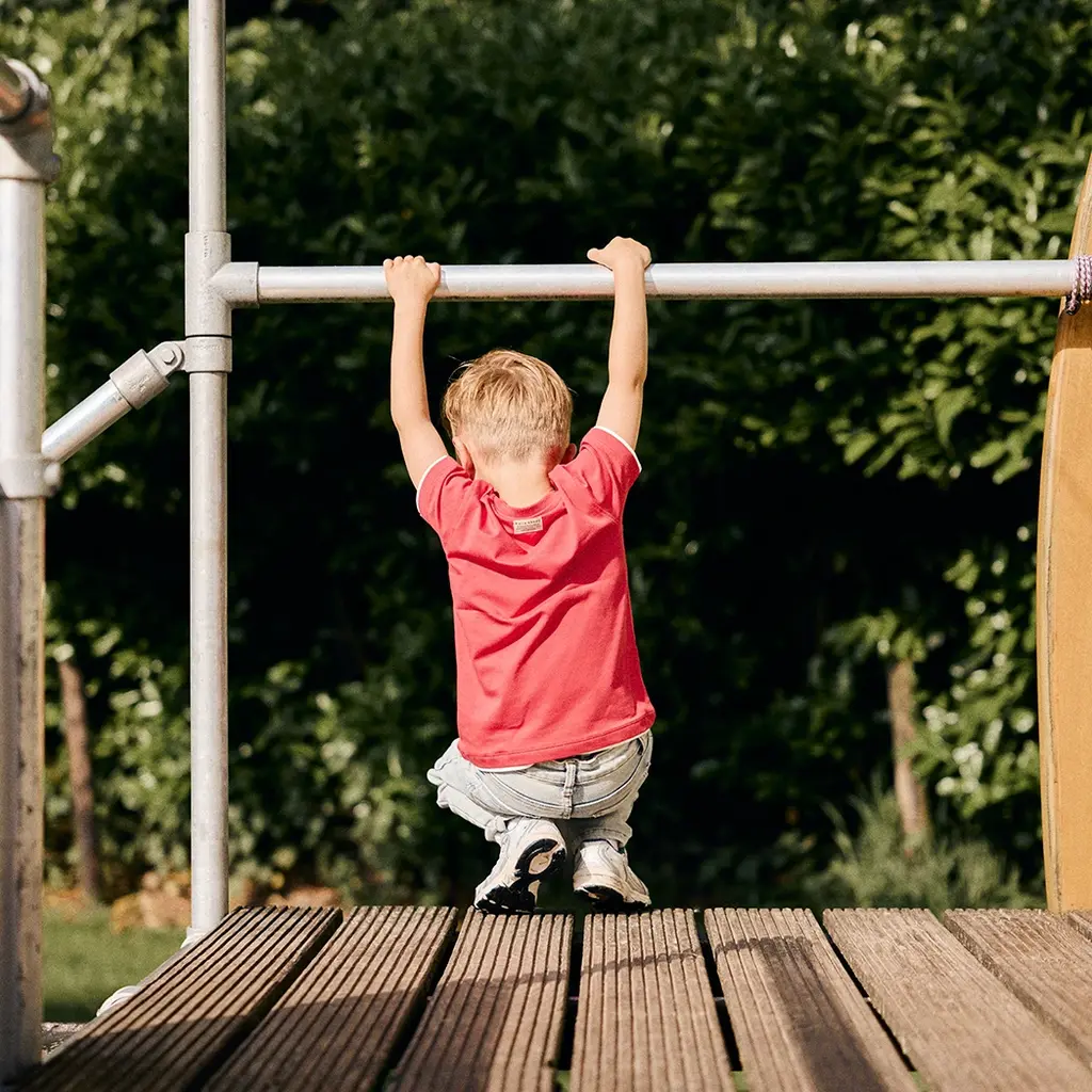 T-shirt (chrysanthemum)