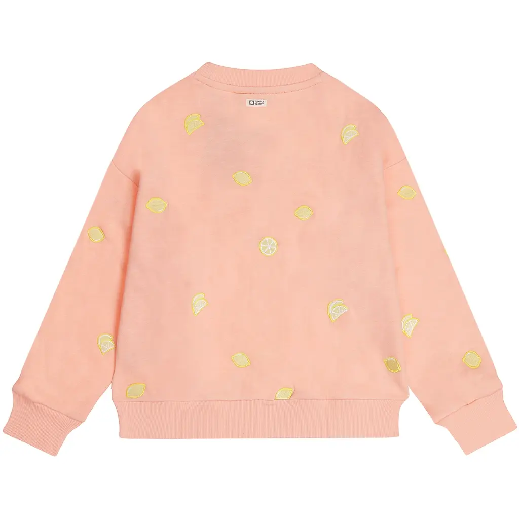 Trui Limoni (apricot blush)