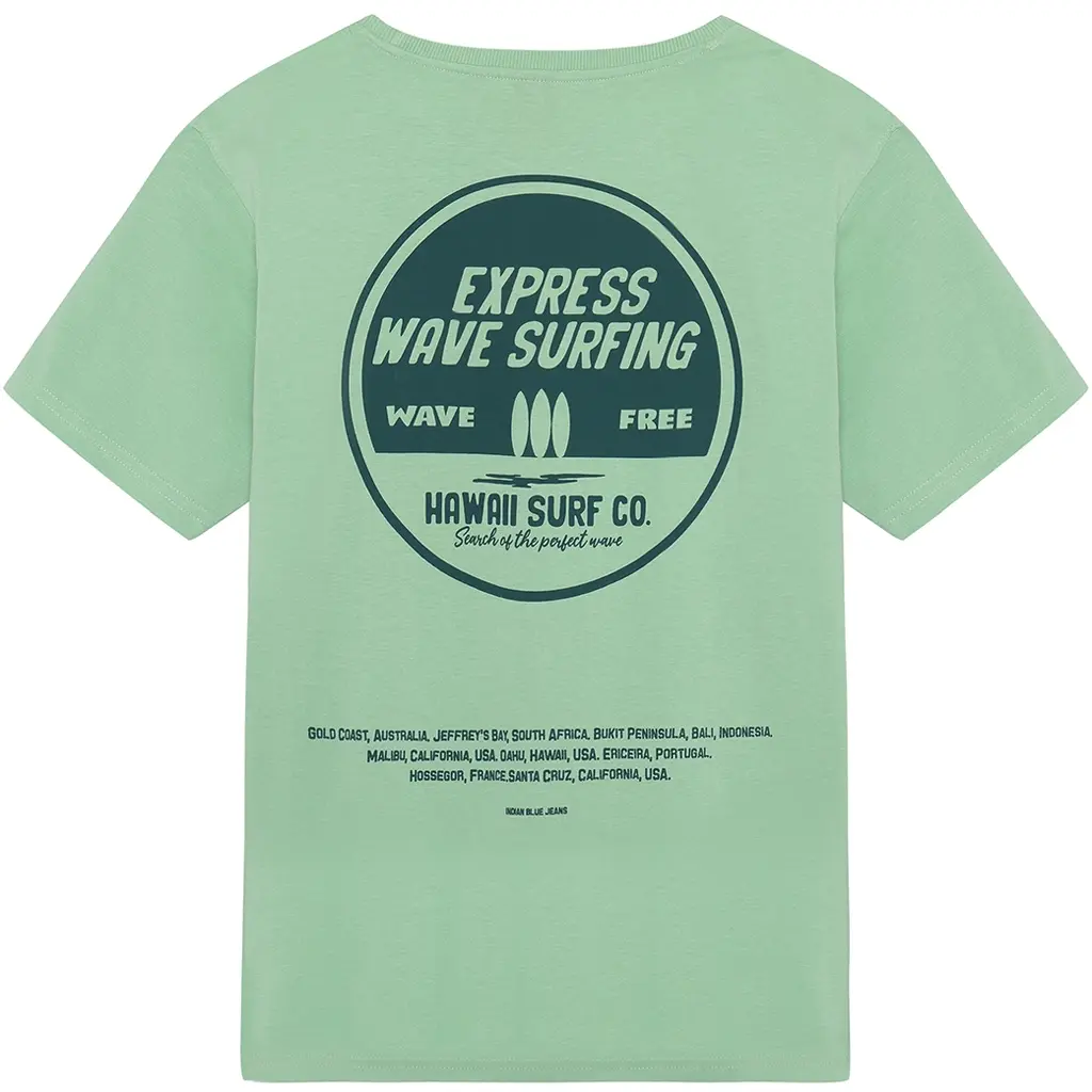 T-shirt (fresh green)