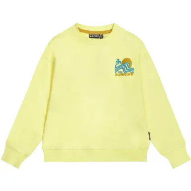 Trui Mediterranean (limelight)