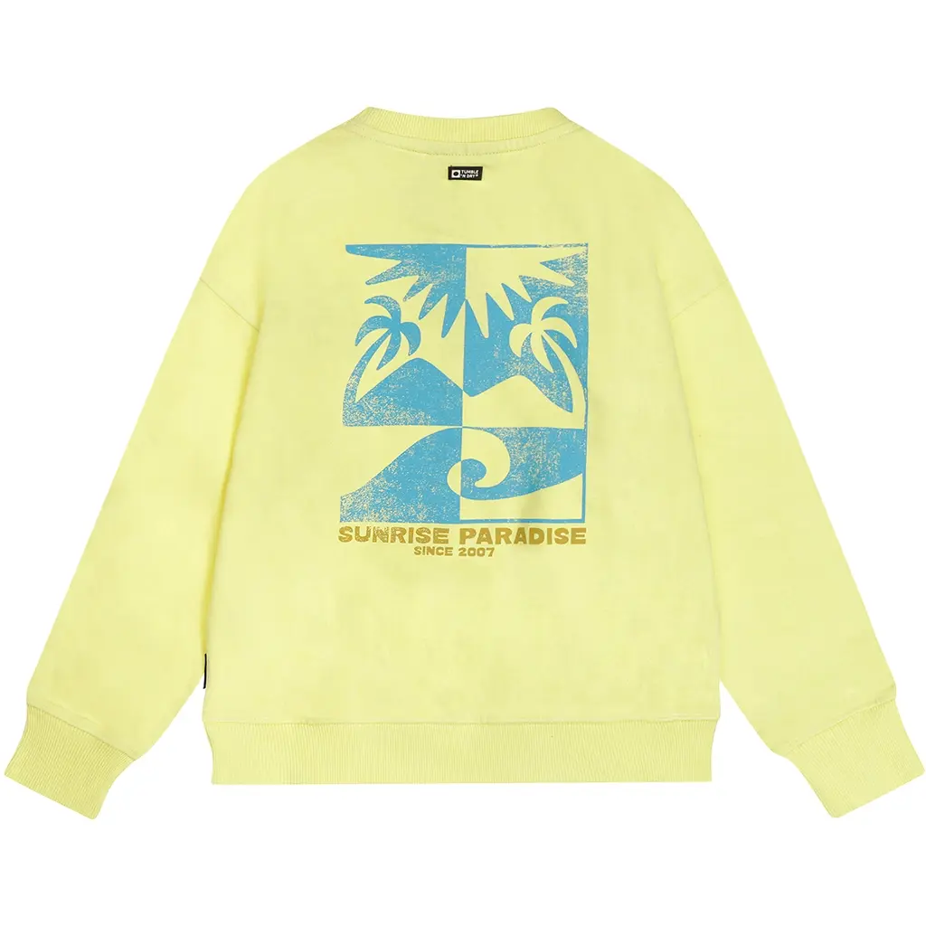 Trui Mediterranean (limelight)