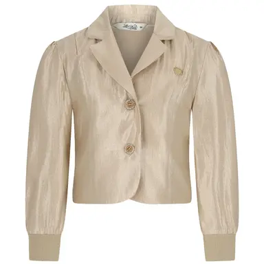 Colbert Anster (golden glow)