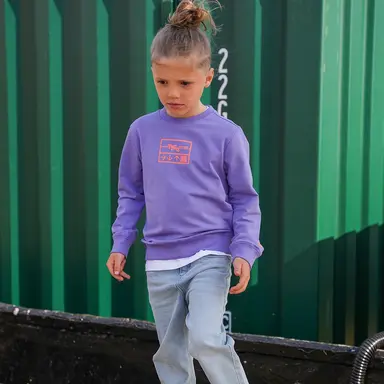 Trui Coen (grape mist)