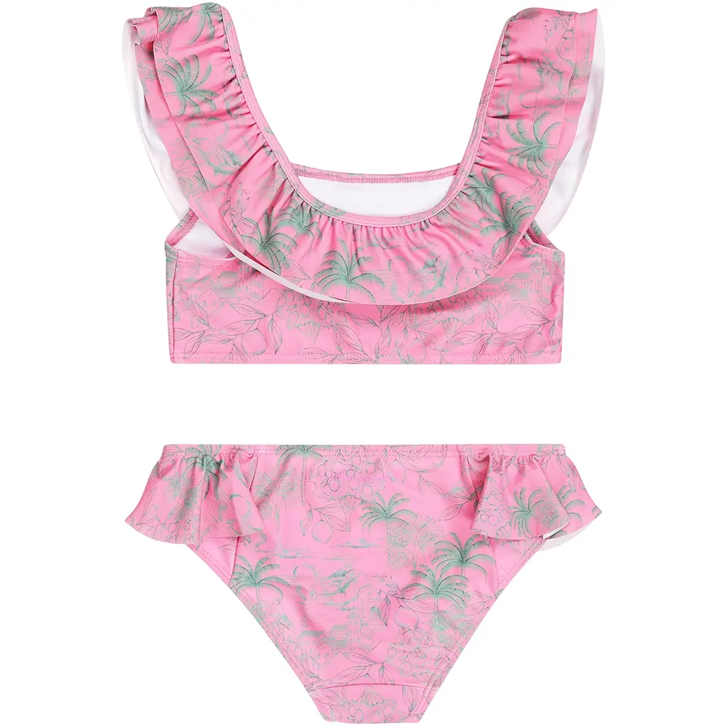 Bikini Santa Catarina (morning glory)