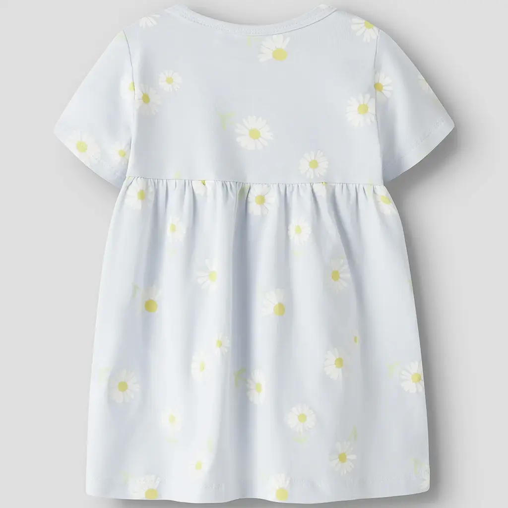 Jurkje Vandora (ancient water daisy)