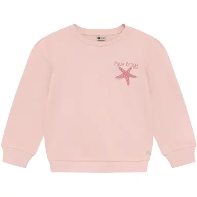 Trui Backprint (silver pink)