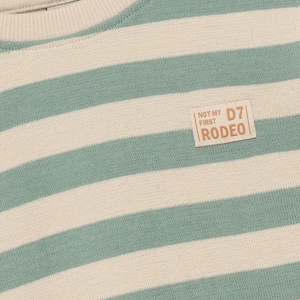 Longsleeve stripe (green milieu)