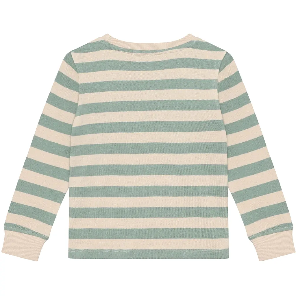 Longsleeve stripe (green milieu)