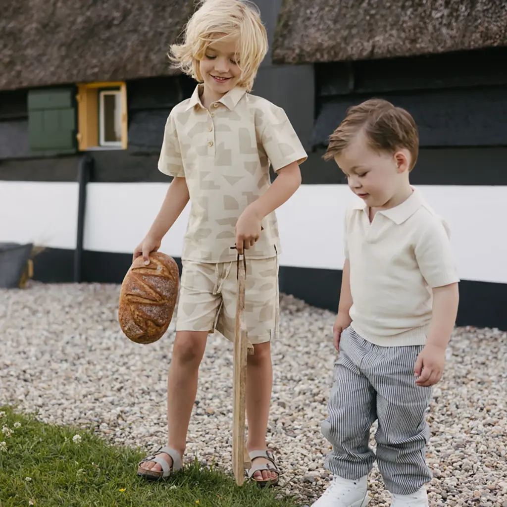 Polo t-shirt Bertus (aop sand graphic)