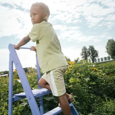 Korte broek Dyon (grey mint)