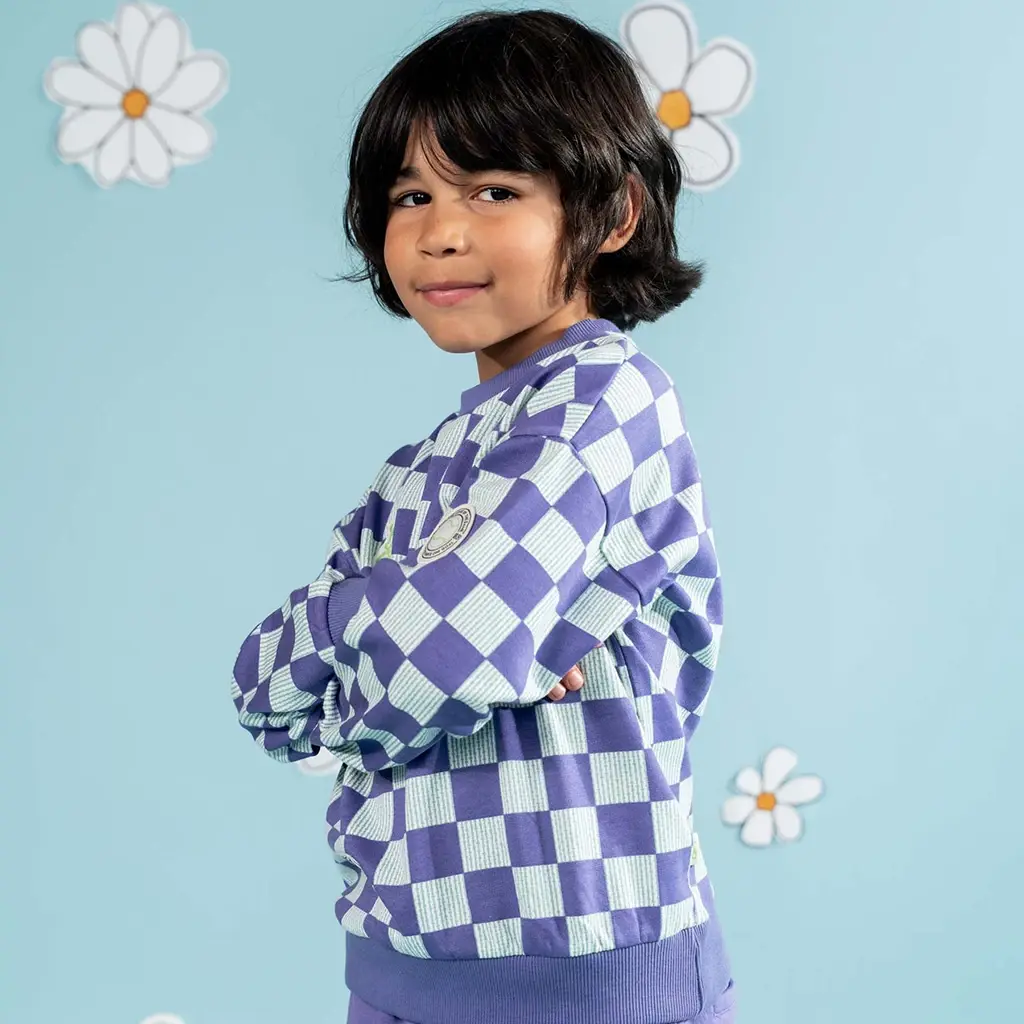 Trui Dean (aop purple check)