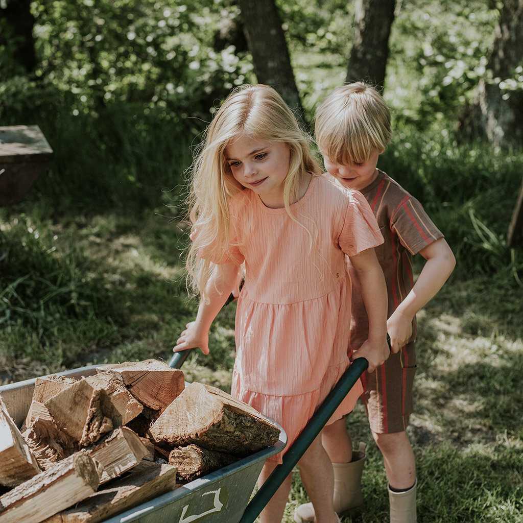 Jurk (blushed terra)