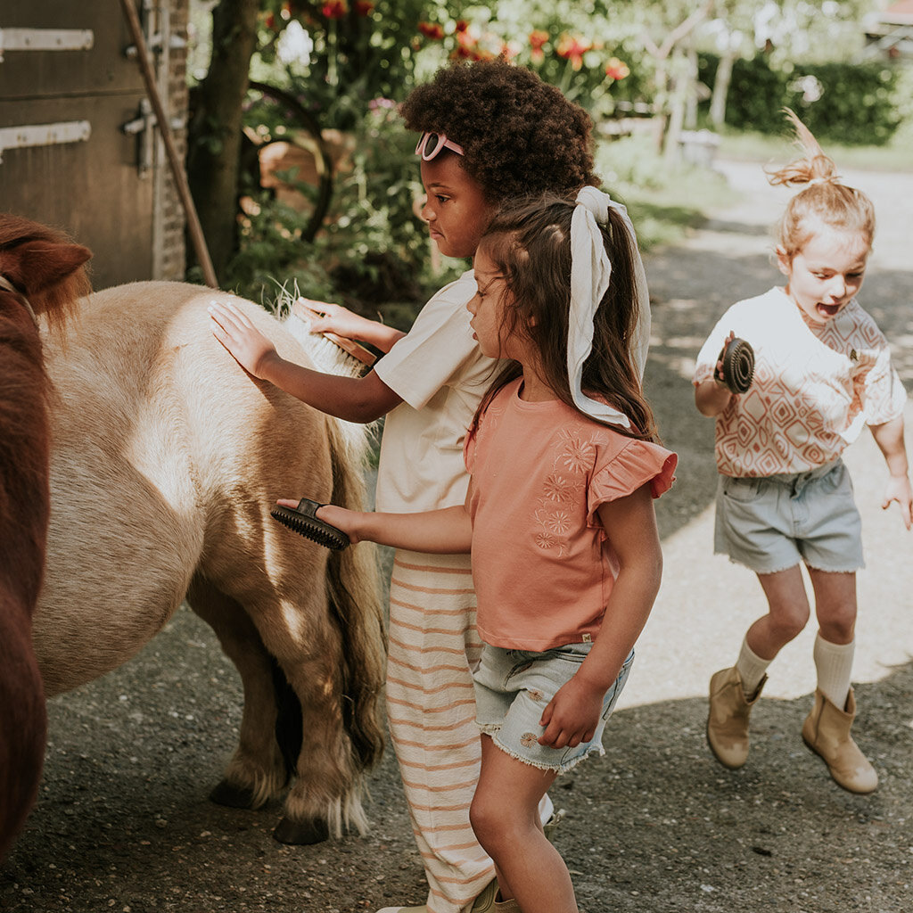 T-shirt loose fit (blushed terra)