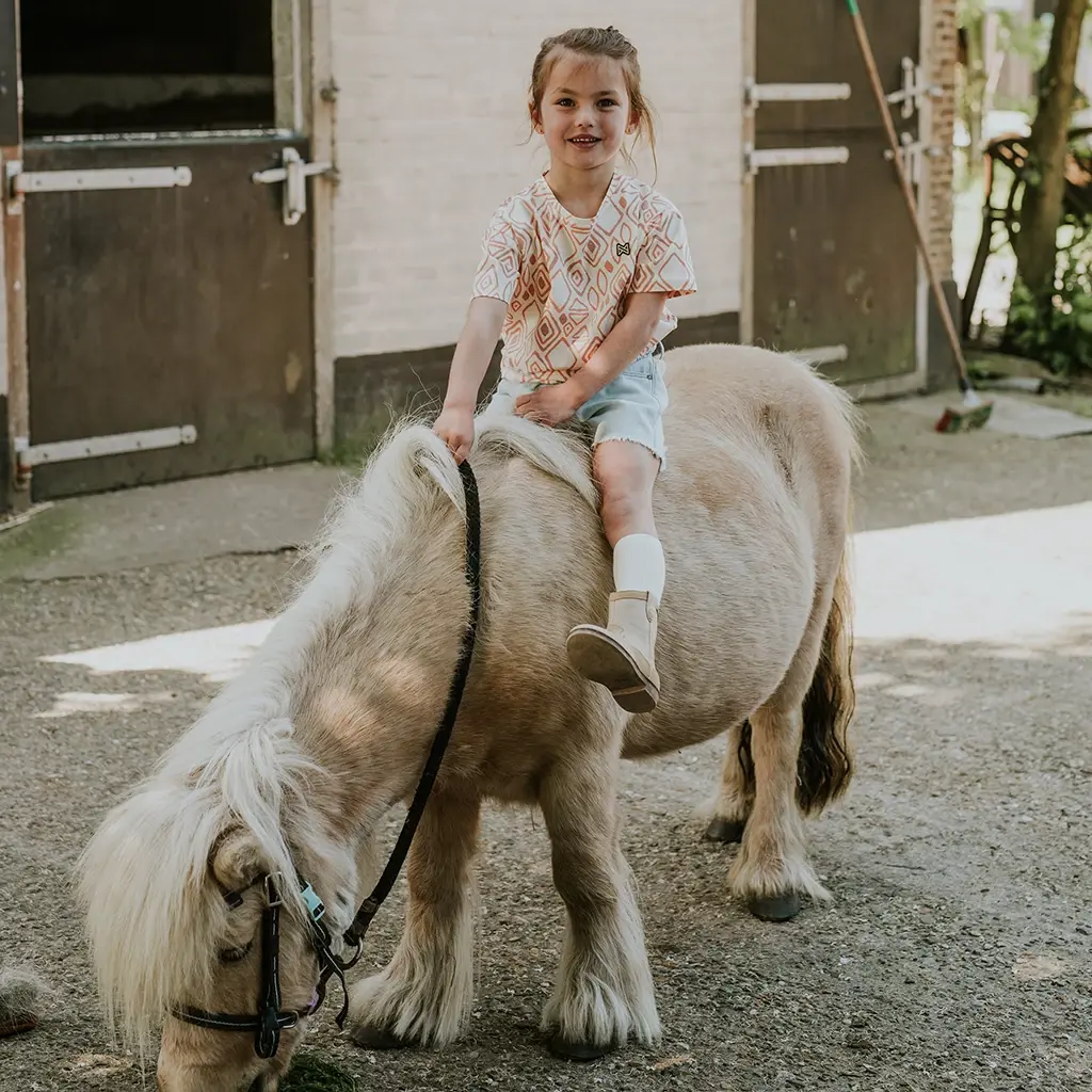 T-shirt loose fit (off white)