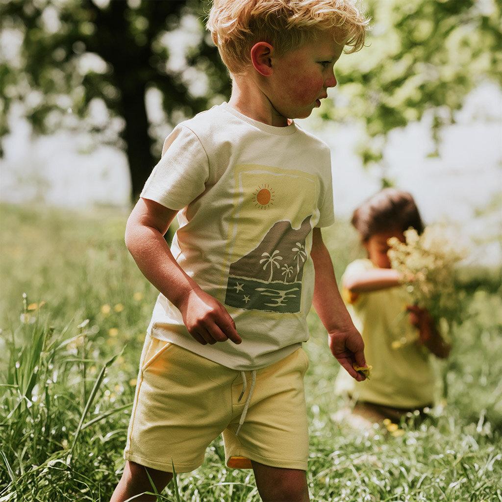 Set 2 korte broeken (sage)