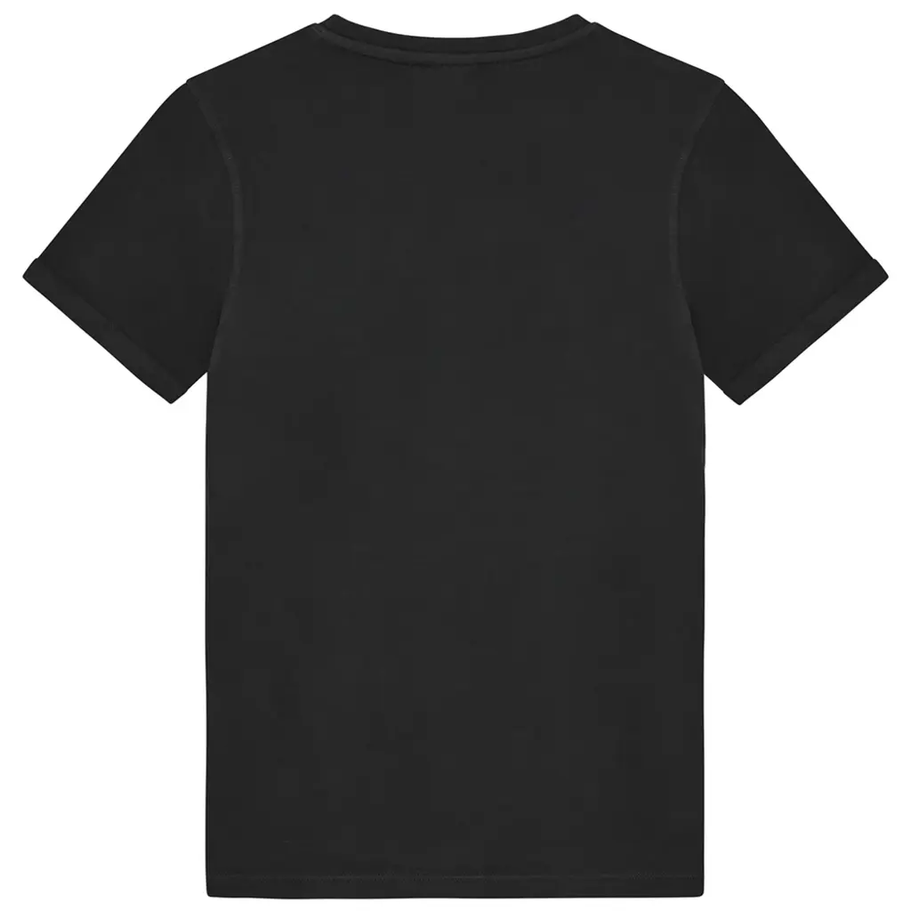 T-shirt washed (washed grey)