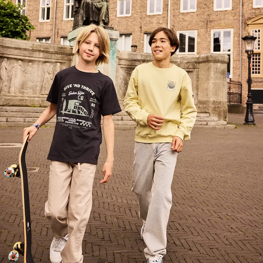 T-shirt washed (washed grey)