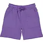 QPI Korte broek Dylan (dark purple)