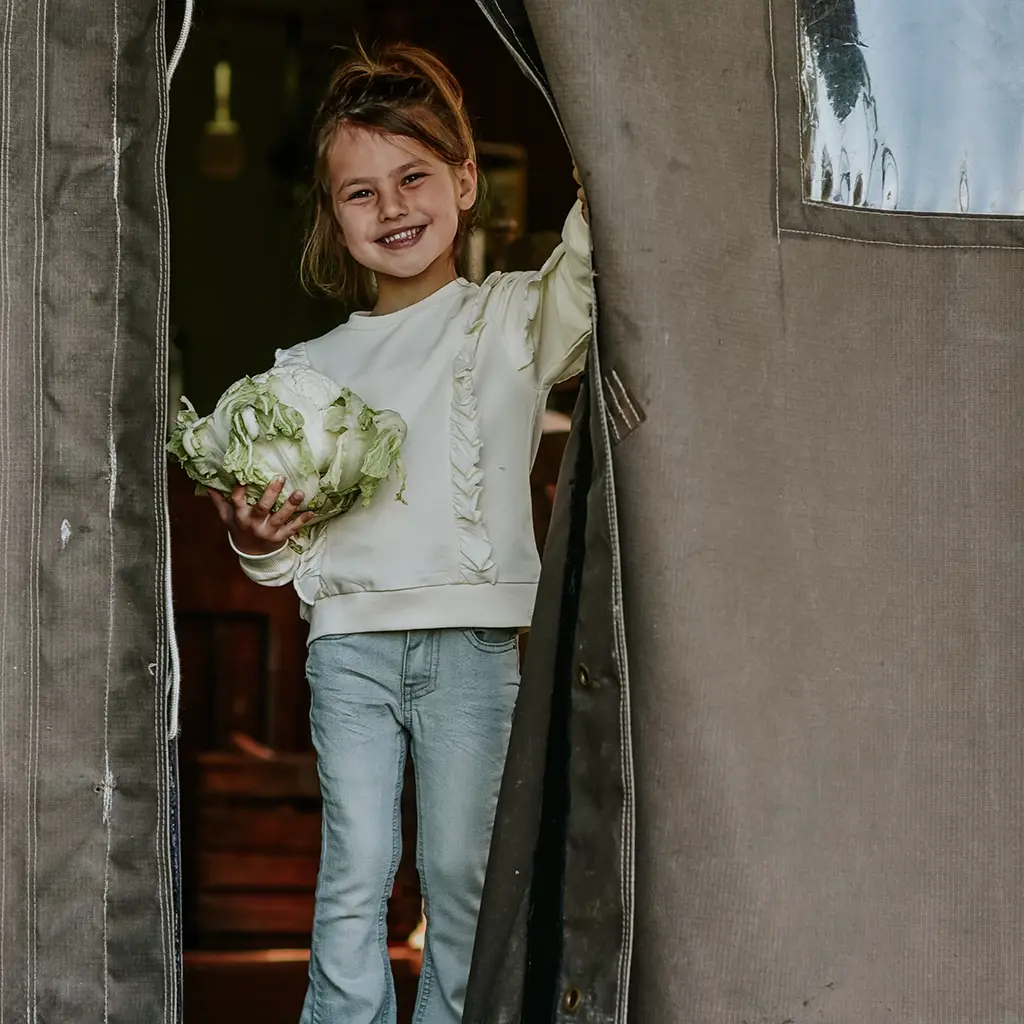 Spijkerbroek flared (grey jeans)