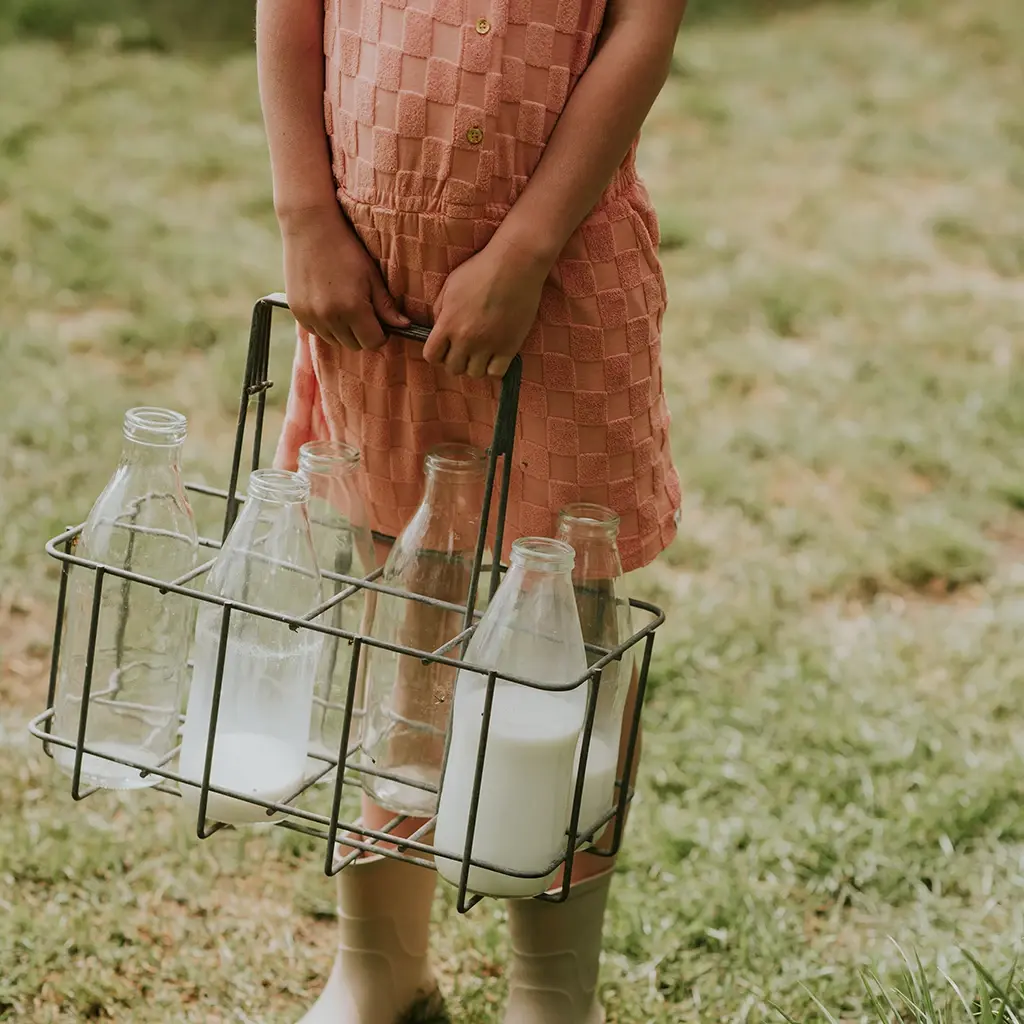 Jurk (blushed terra)