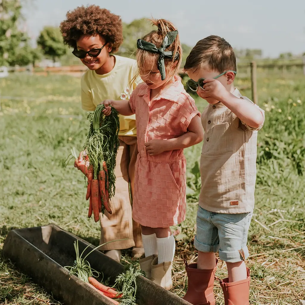 Jurk (blushed terra)