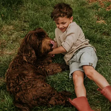 Korte spijkerbroek loose fit (grey jeans)