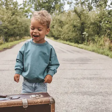 Trui wide fit (dragonfly)